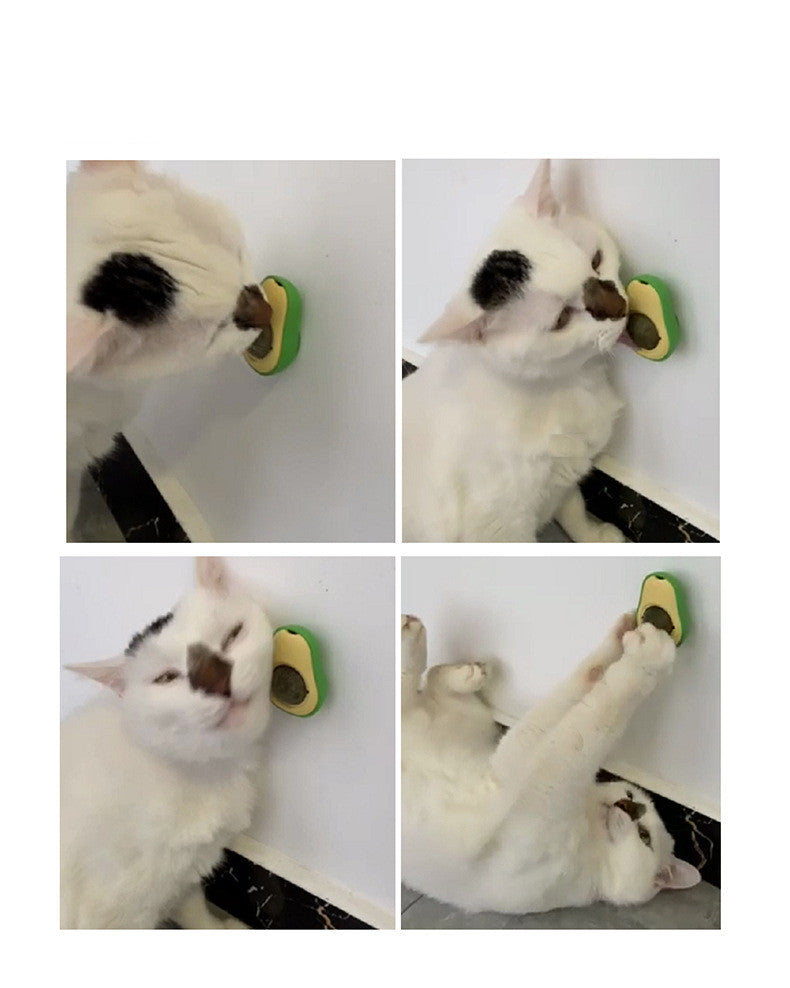 Avocado Cat 360 Rotating Ball