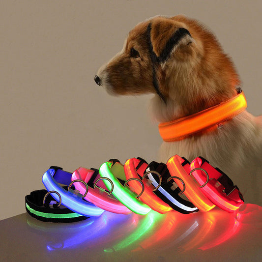 Dog LED Collar