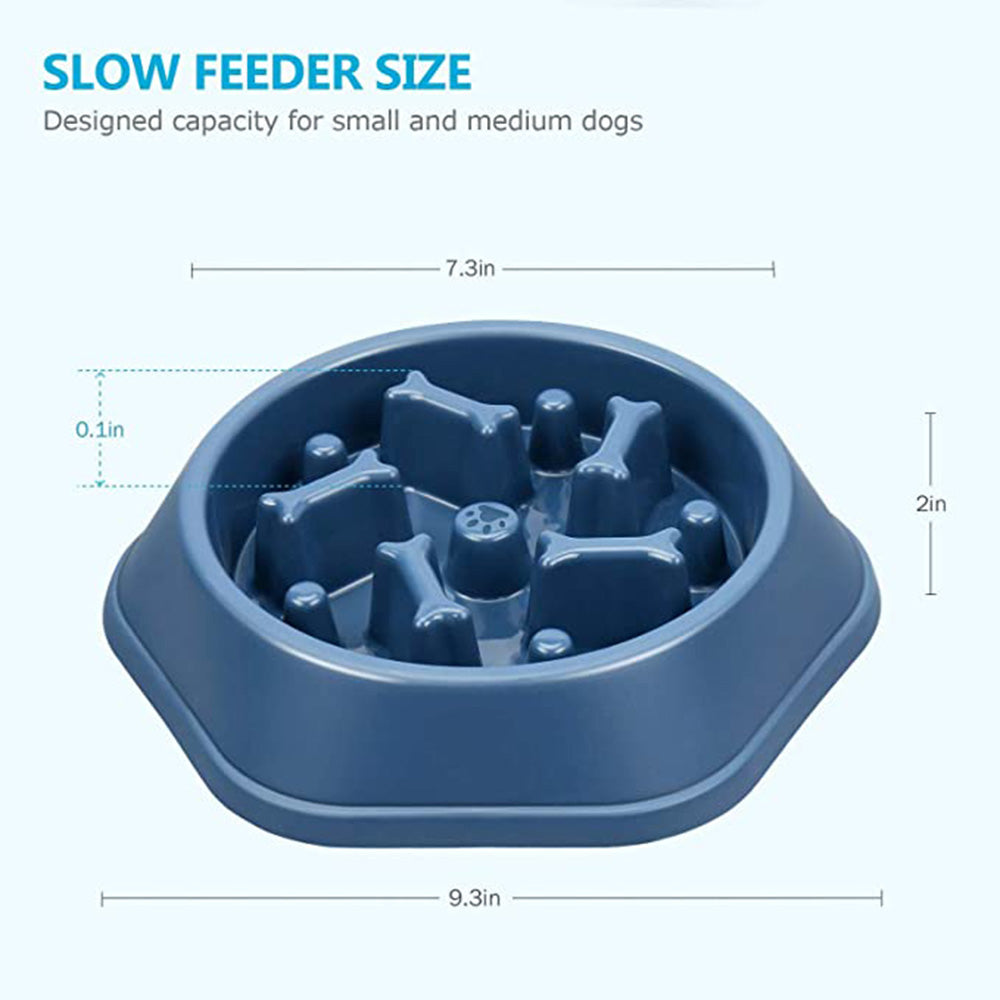 Pet Slow Feeder Bowl