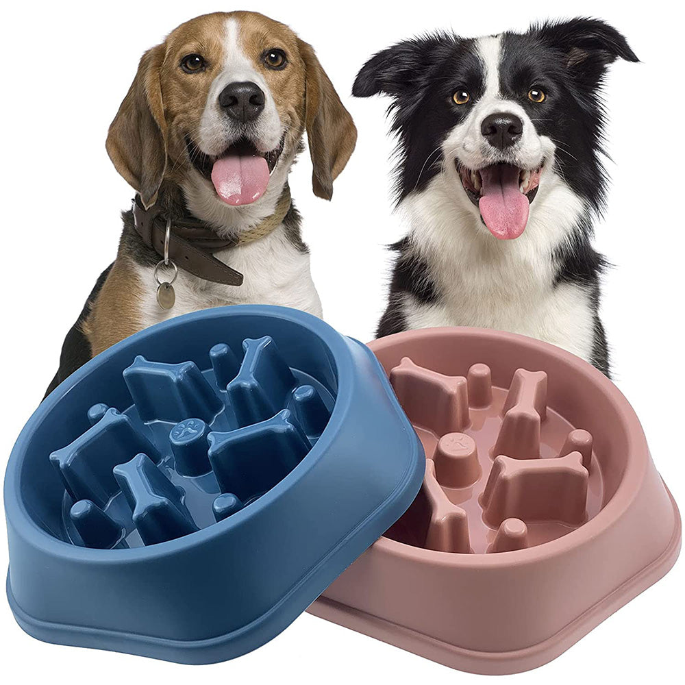 Pet Slow Feeder Bowl